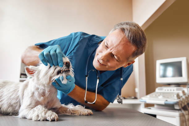 Best Knocked-Out Tooth Emergency  in Ladson, SC